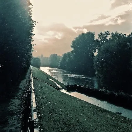 L'esturgeon