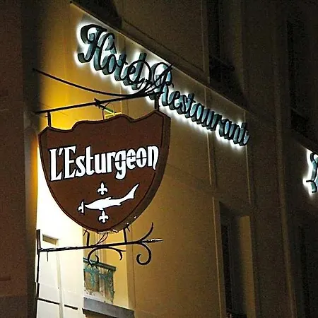Hotel L'Esturgeon 4*