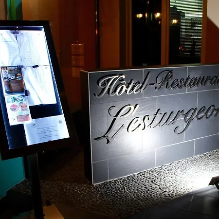 Hotel L'Esturgeon Poissy