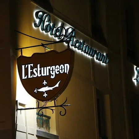 Hotel L'Esturgeon 4* Poissy