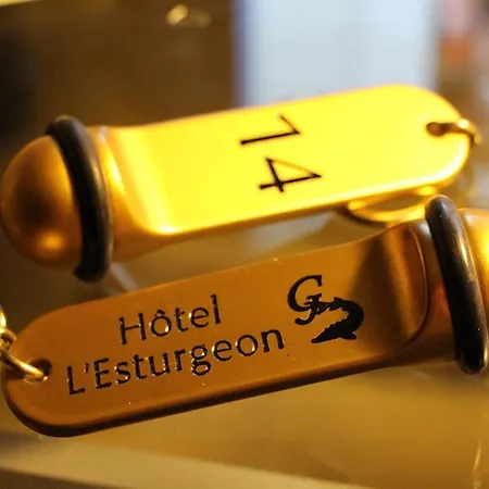 Otel L'esturgeon Poissy