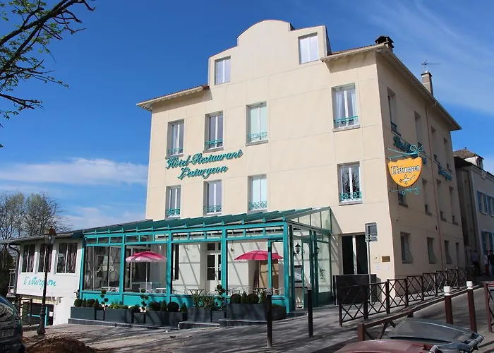 Hotel L'esturgeon 4*