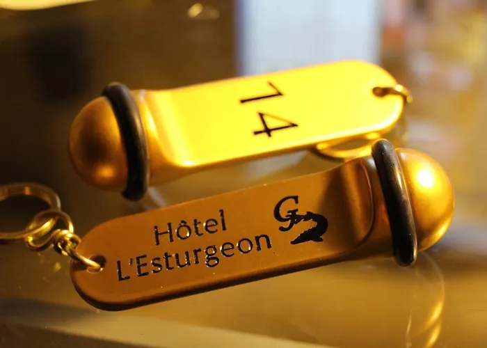 Hotel L'esturgeon Poissy